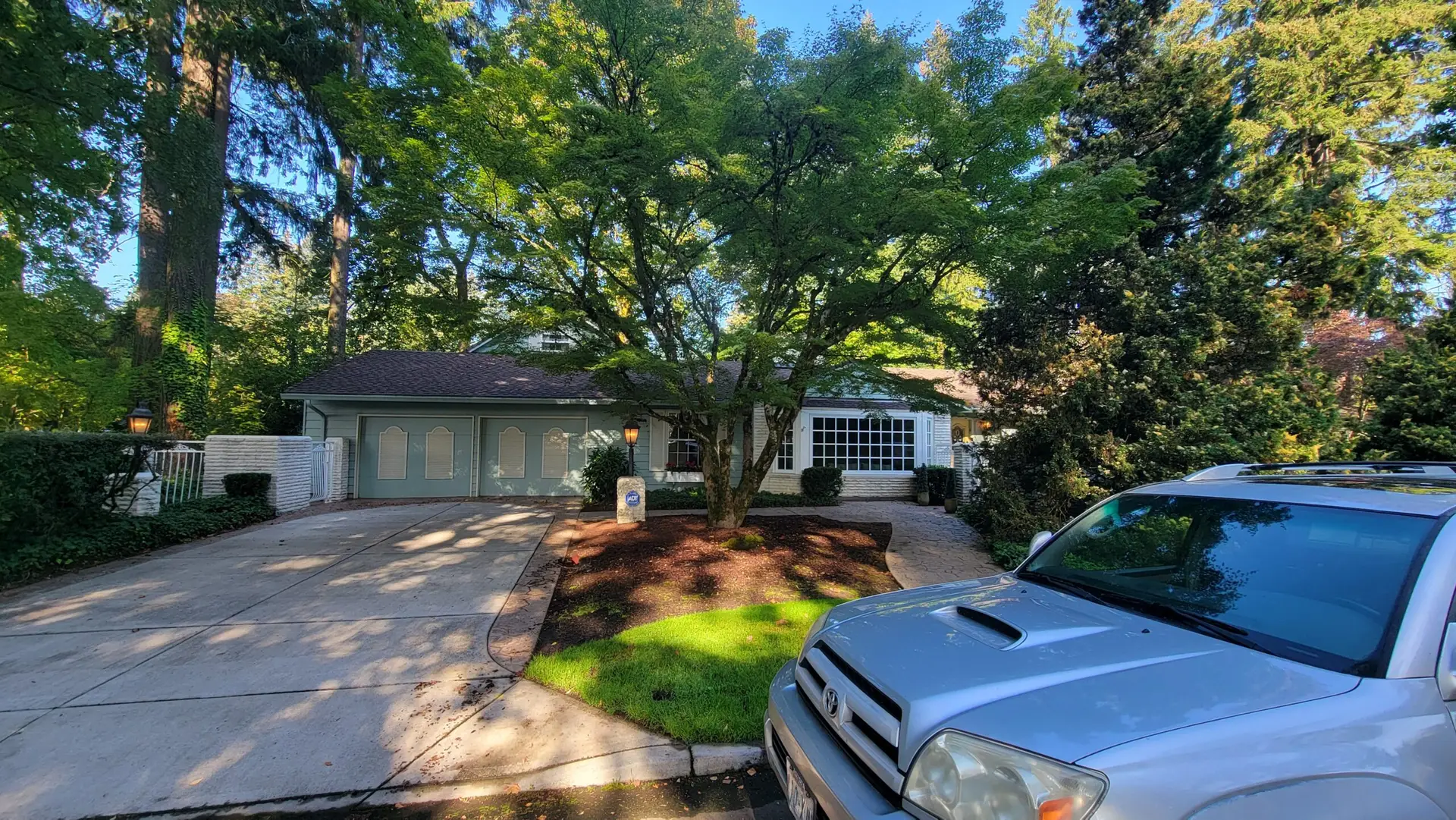 Before image
