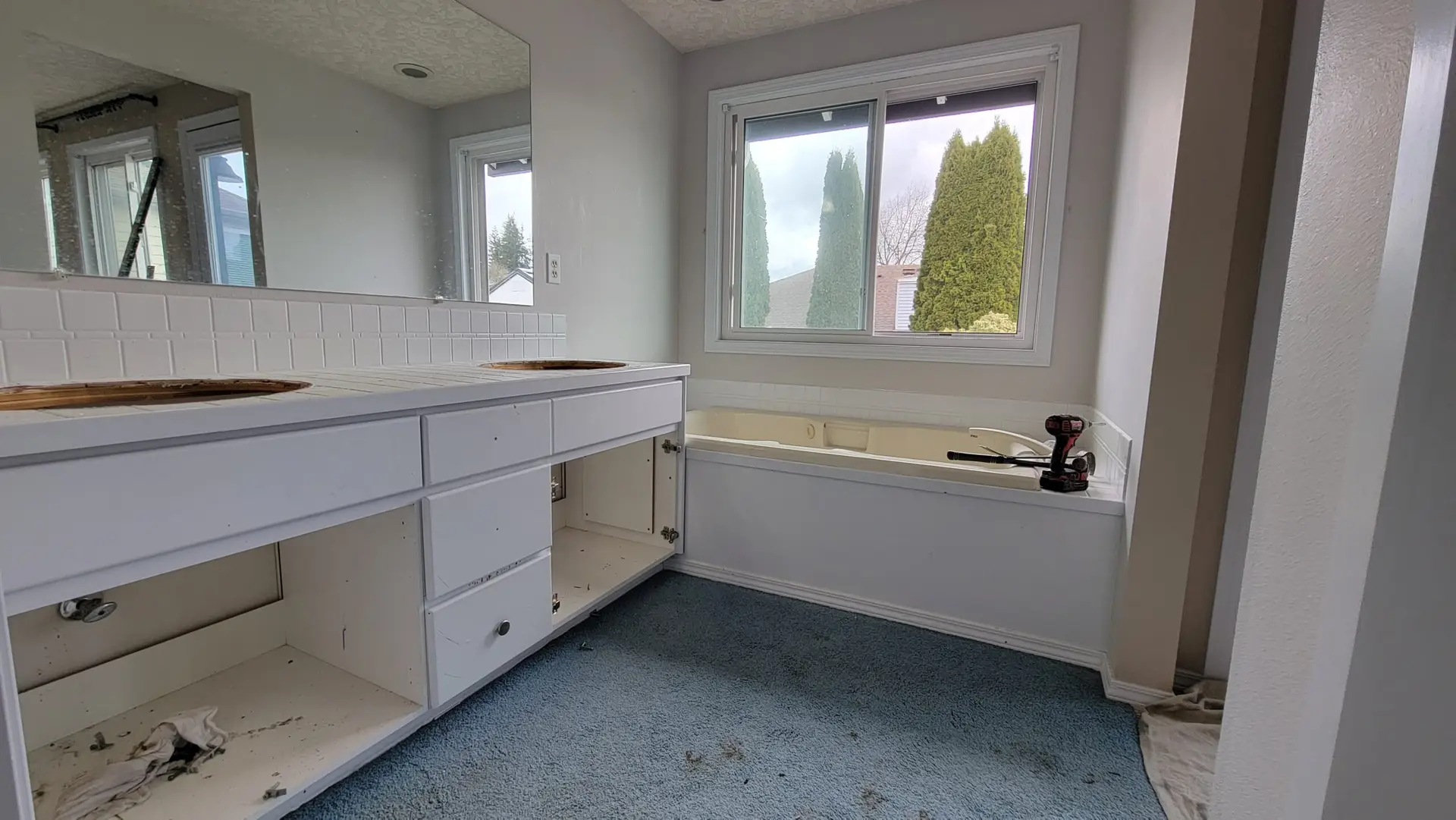 Before image